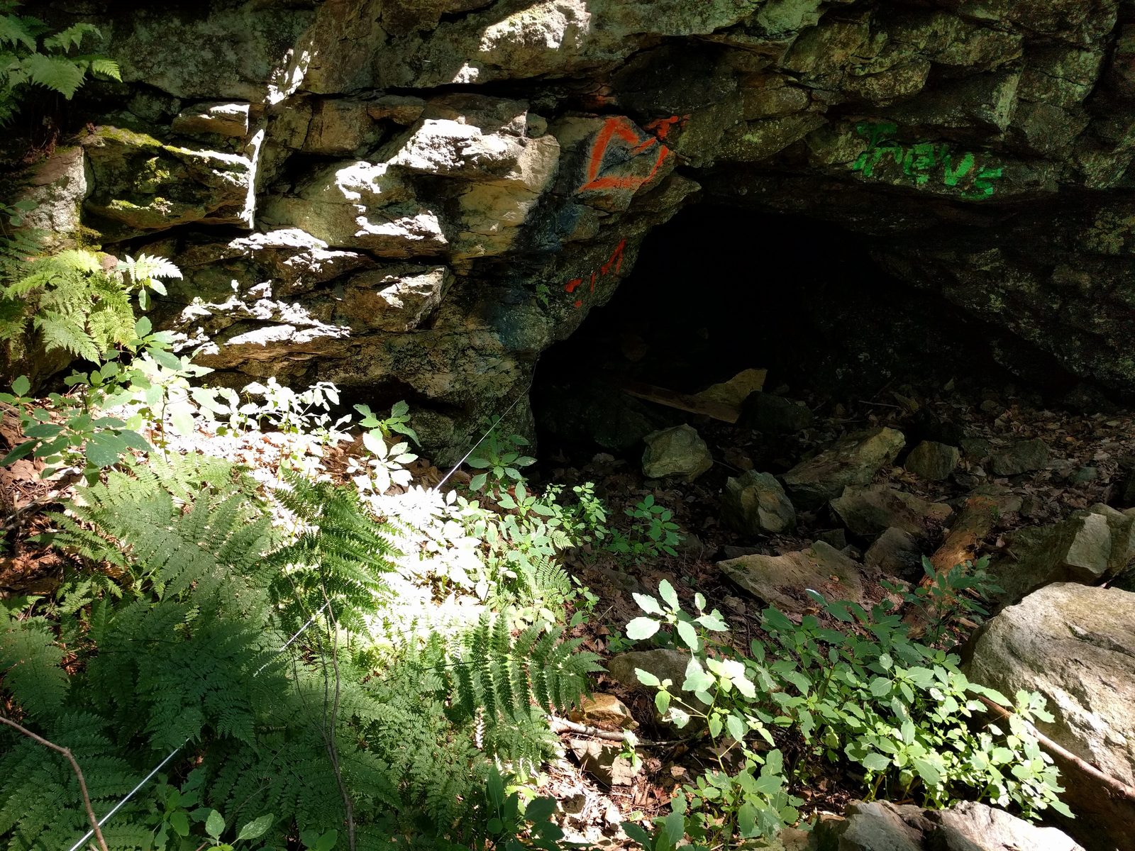 The Explorers Club